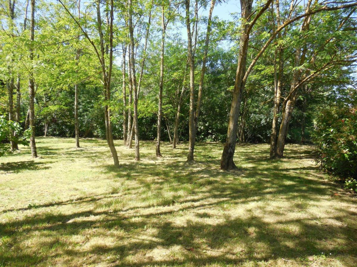 Le chalet bois de Célio Coux Esterno foto